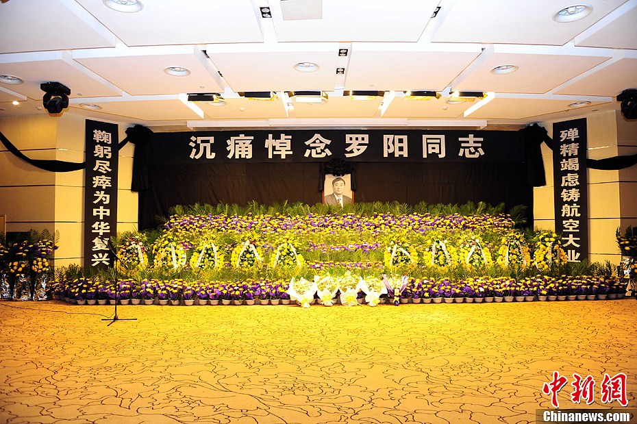 悼念歼图片
