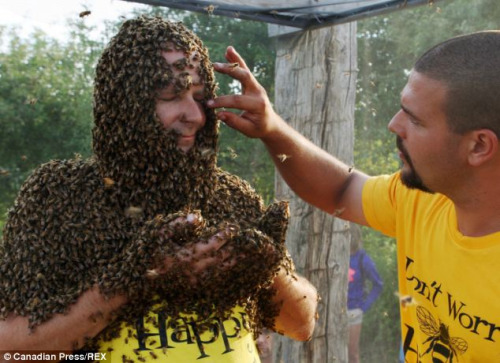 参赛者寻求队友的帮助，防止蜜蜂钻到眼睛里