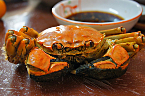 吃螃蟹的季节到了!教你4个最健康吃法