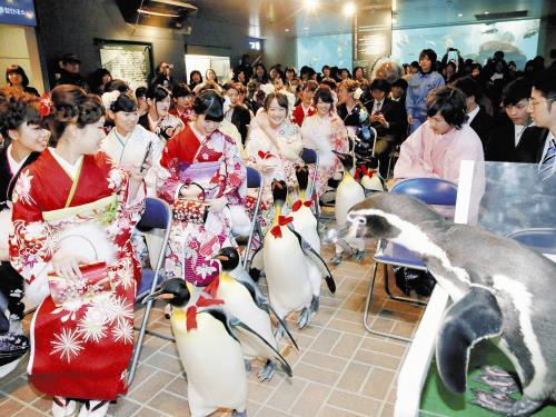 日本百万青年迎成人节 企鹅米老鼠也来庆祝(图) 