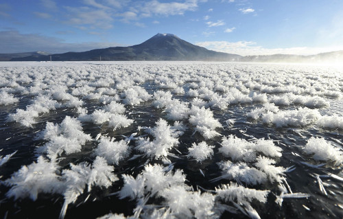 北海道湖面布满“霜花” 冰清玉洁纯美如莲(图)