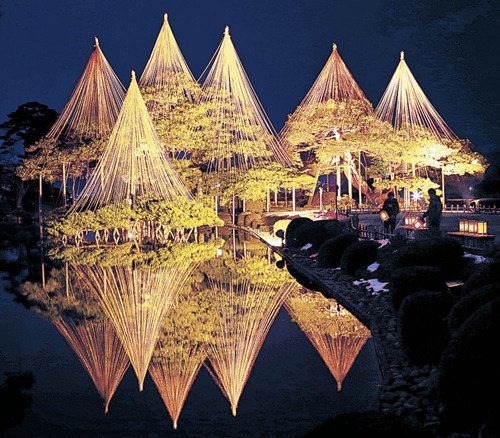 日本名园用光影打造“金色梦园” 绚丽梦幻(图)