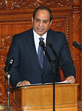 埃及总统在日本国会发表演讲 呼吁各国携手反恐