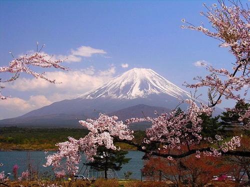 资料图：日本富士山