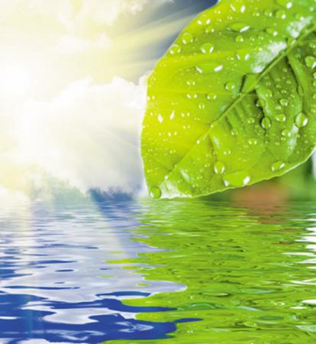 清热去湿是小满时节的养生重点 。图片来源：羊城晚报