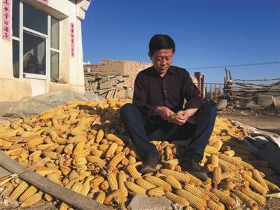 农民收购玉米获刑案今再审 法官宣布择日宣判