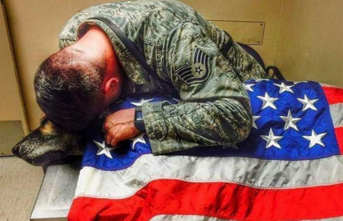 永不忘记它：美军人与狗狗作战6年 守护其离世