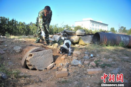 中国西南地区搜救犬昆明集训 磨练“十八般武艺”