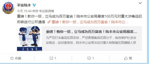 陆丰市公安局官方微博截图。 陆丰市公安局官方微博截图。