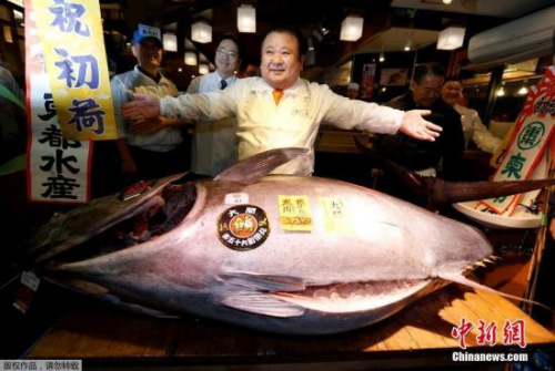 资料图：此前，东京筑地水产市场进行金枪鱼买卖交易。