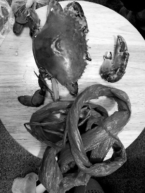 京深海鲜市场买来的膏蟹，解开湿塑料绳后，蟹腿已断。