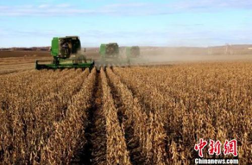 农业农村部：我国大豆种植面积有望超1.3亿亩