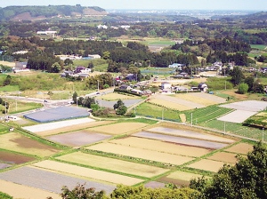 日本海外狂屯农田 目前面积超过其国内三倍(图