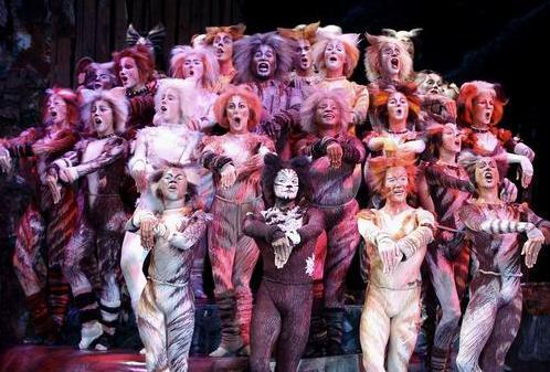 音乐剧《猫》成今年“BAZAAR明星慈善夜”开场秀--中新网