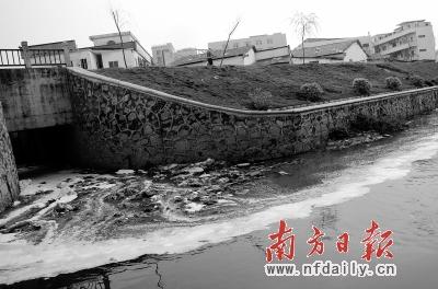 广州近两年水质污染反弹 将祭重典治理跨界污
