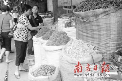 广州清平市场严打药材违法生产经营