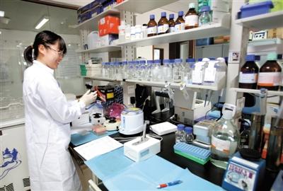 昨日，北京大学肿瘤医院遗传研究实验室，实验员正在工作。据介绍，之前因征集处女大学生抽血而引起关注的实验，将在此进行。新京报记者 黄月 摄