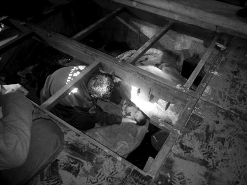 沈阳一商场展台下有人生小孩 消防员拆台救母