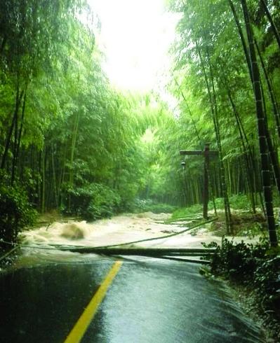 常州南山竹海景区突降暴雨 山体滑坡致多名游