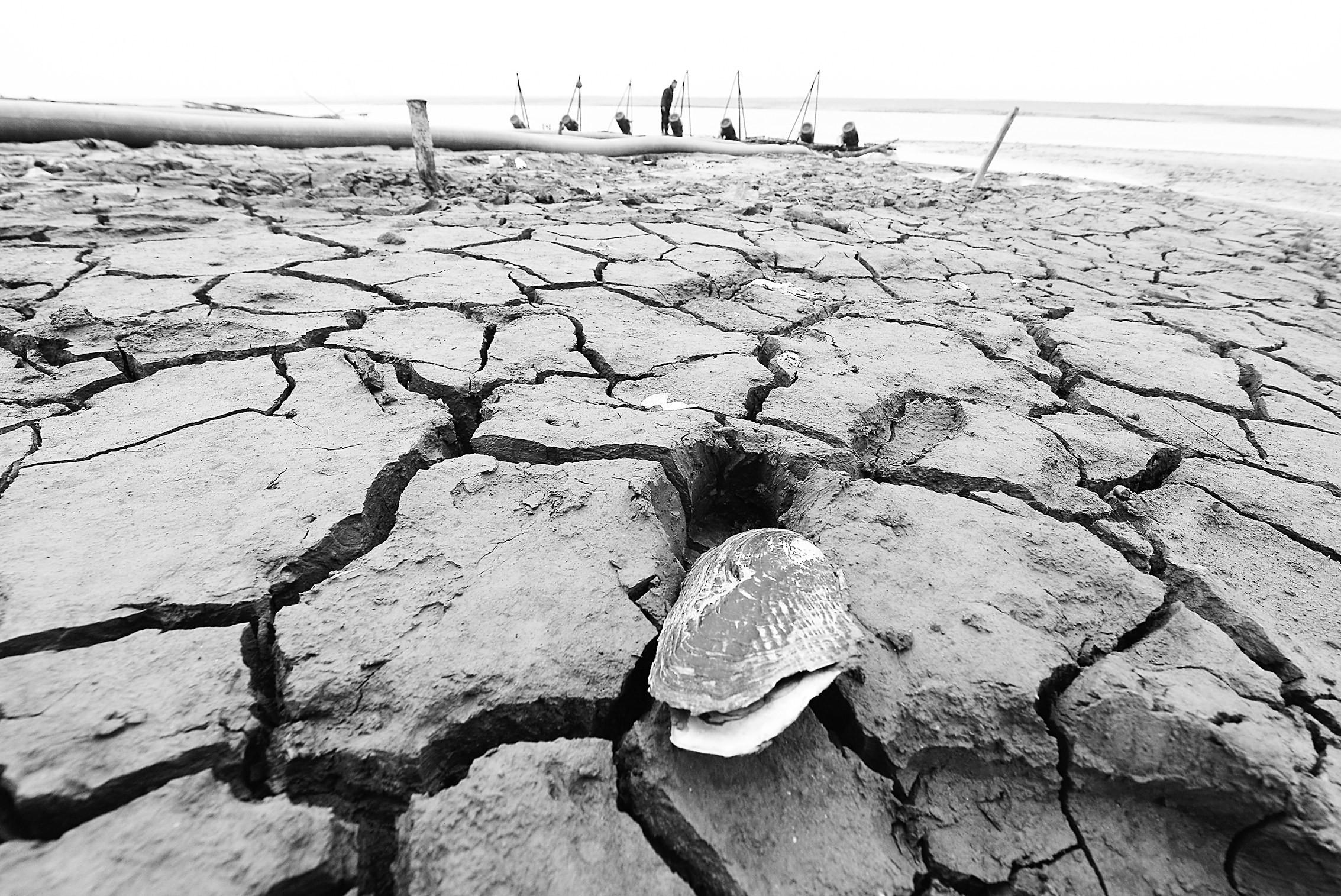 鄱阳湖水位逼近8米极枯水位-中新网