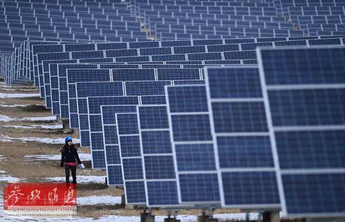 英媒称中国光伏业发现新财源:太阳能板下养毛