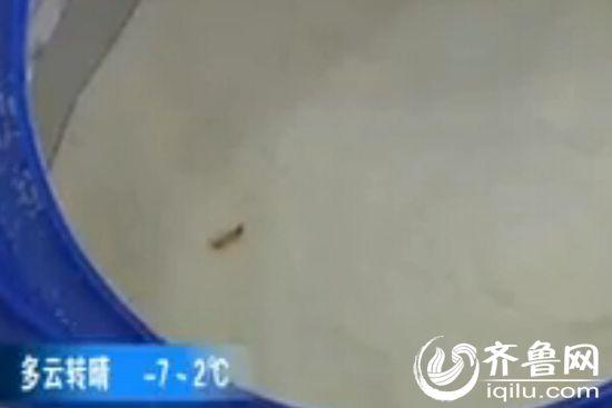 奶粉罐中出现的活虫(视频截图)