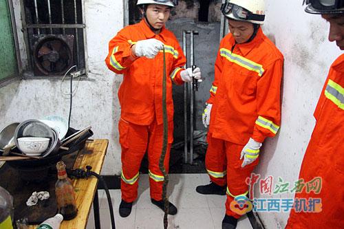 近期江西省内消防频接蛇闯民居报警 专家：许多蛇伤可以避免