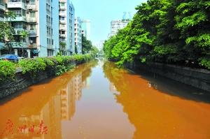 广州一河水变红 城管初步判断有人偷倒泥浆水(图)