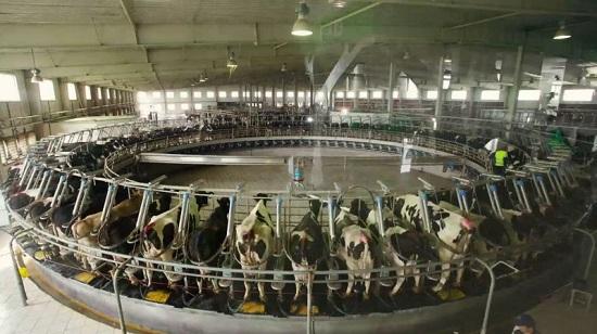 食品安全受关注 一杯蒙牛放心牛奶是如何诞生