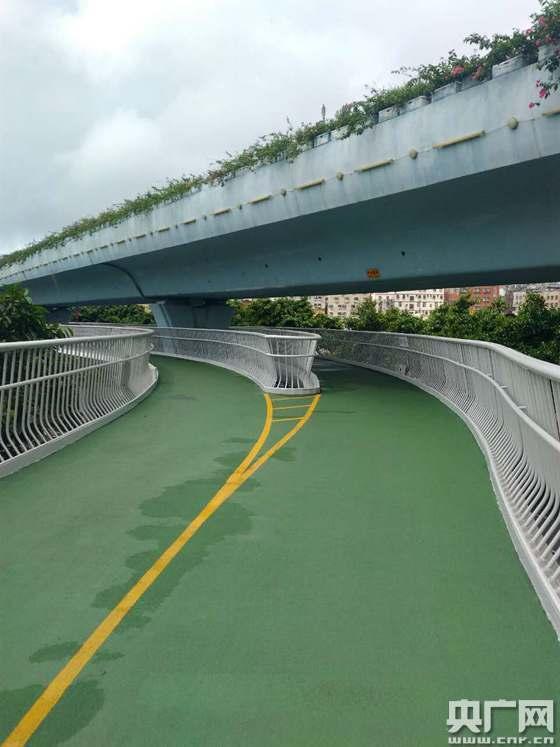 探访厦门全球最长、中国首条“空中自行车道”(图)