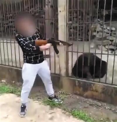 枪杀黑熊当事人:杀熊获当地允许 父母病倒了