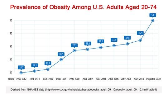 中国肥胖_中国的肥胖人口比例