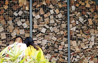 废弃木块做成生态展示廊每块写留言变“表白墙”