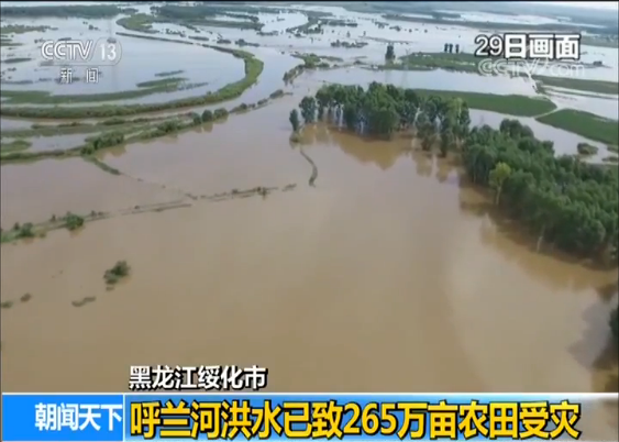 黑龙江持续强降雨引发洪水内涝 探访受灾林场