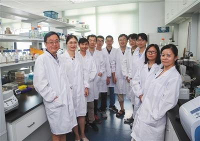 “人造生命”成功 中国科学家实现染色体“16合1”