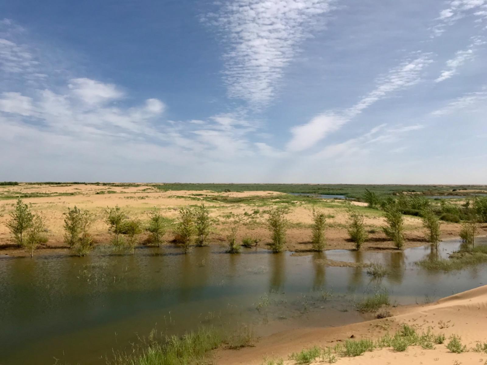 黄河水流进了库布其带走了水患与旱难