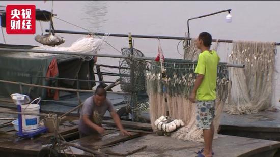长江渔业资源告急：“四大家鱼”减损90%以上