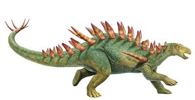 自贡恐龙博物馆 带你走进侏罗纪世界