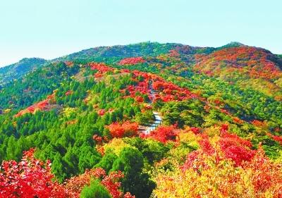 西山国家森林公园 秋日一旬一色彩