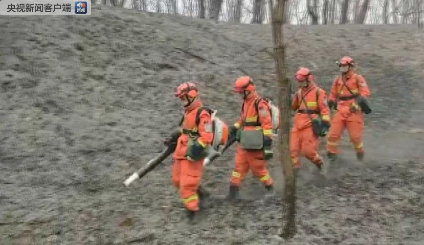 中俄边境发生森林火灾向中国蔓延 火场已无明火