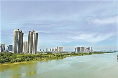 禅城区今年投20.3亿建设奇槎、绿岛湖等片区