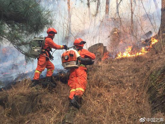 山西北京发生两场森林大火 应急部：坚持火案必破