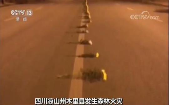 救火英雄遗体运抵西昌 市民自发用菊花和条幅铺满送别之路