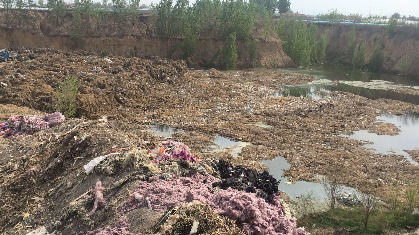 山东青州一40亩坑被倒垃圾 水体发黑 环保局：已取样