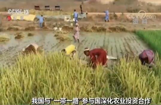 中国与“一带一路”参与国农业投资合作项目657个 存量超94亿美