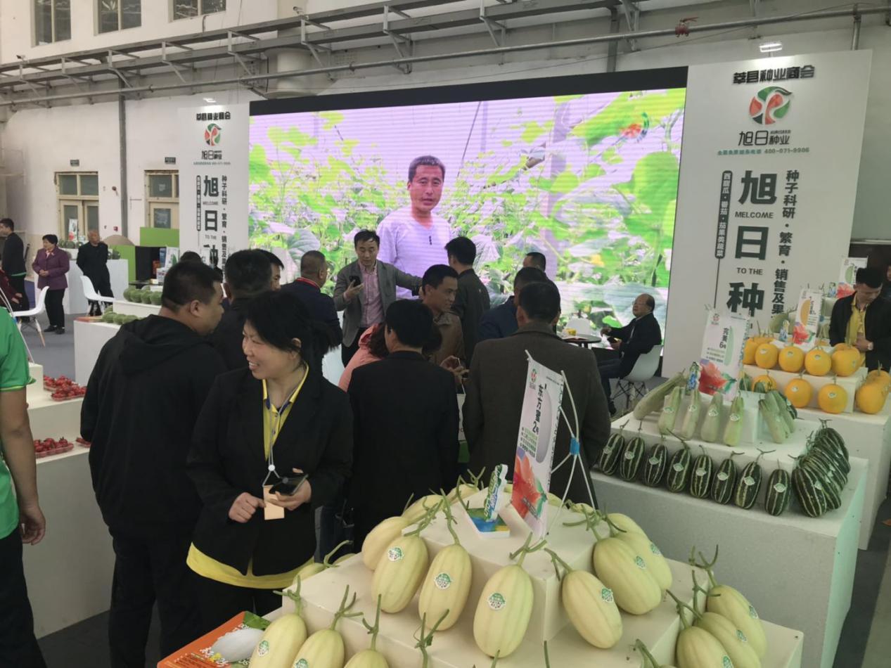 第二届山东聊城（莘县）“瓜菜菌博览会”盛大开幕