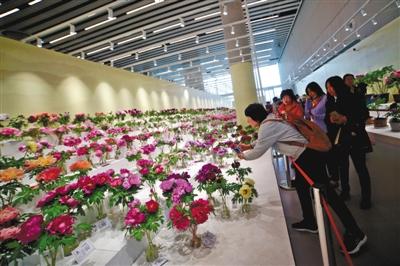 中国馆1亿岁“世界第一枝花”吸引游客