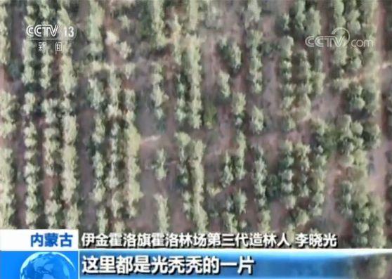 内蒙古：沙窝变绿海 三代人植树60载