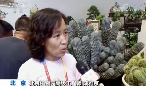 北京植物园高级工程师成雅京
