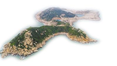 广东第一位“岛主”苏庆龙：生态修复用了3亿元